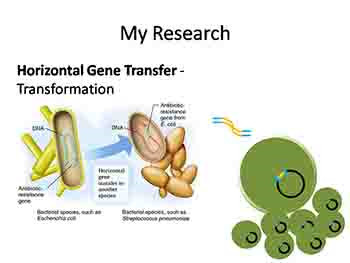 Microbial Connections-The Rise of Antibiotic Resistance