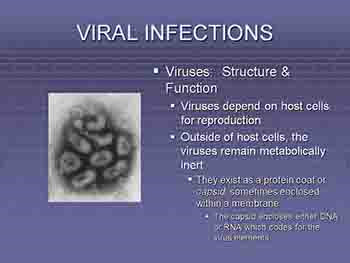 Immune Response To Infectious Disease
