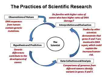 Using Bioinformatics-Genetic Research