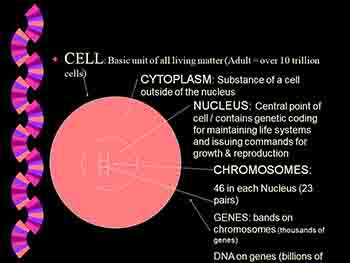 Genetics and Heredity