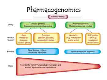 Pharmacogenomics-Advancing Personalized Medicine