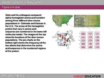 Genetic Variation