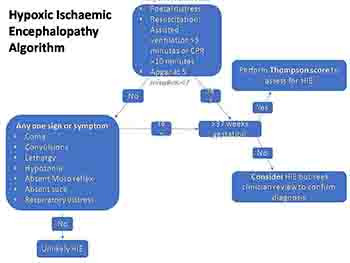 Neonatal Sepsis Algorithm