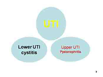 Lower Urinary Tract Infection