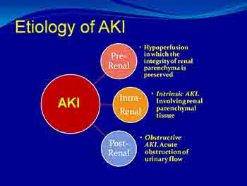 Diuretics and In Acute Kidney Injury