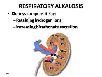 Acid-Base Balance or Homeostasis of Blood PH Or Regulation of Blood PH