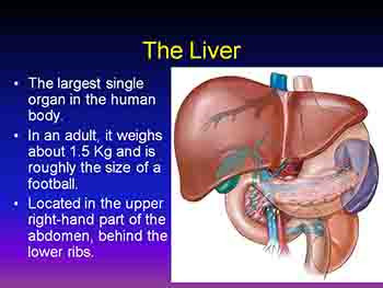 Indications For Liver Transplantation