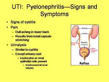 Urinary System Disorders