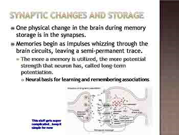 Memory And Its Parts-Thinking And Language