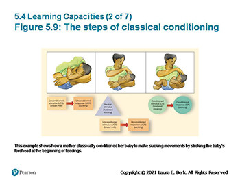 Physical Development In Infancy And Toddlerhood