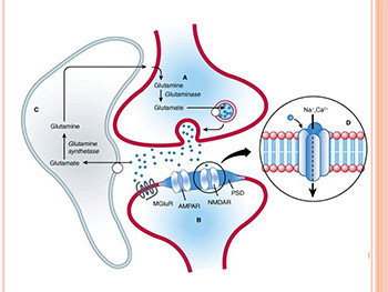 Cns Introduction