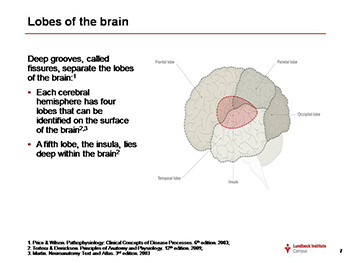 Fundamentals of Neurobiology