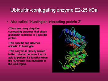 Huntingtons Disease