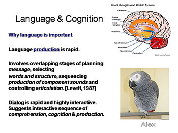 Language Acquisition