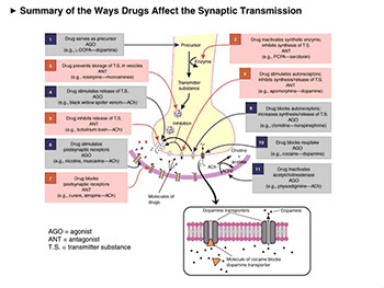 Neurotransmitters