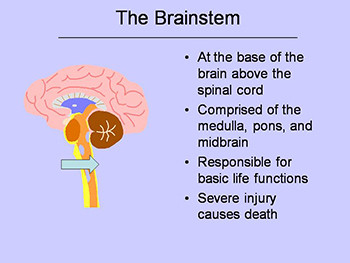 Introduction To Traumatic Brain Injury-TBI For Educators