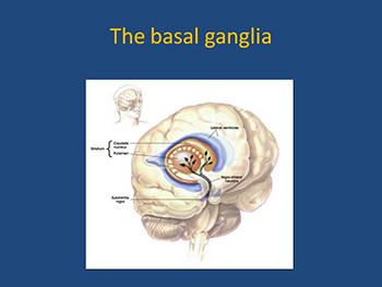 Parkinsons Disease-The Basics