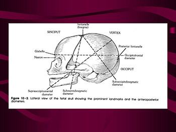 Management of Normal Labour and Delivery