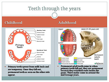 Forensic Odontology-An Introduction To Forensic Dentistry