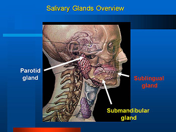 Salivary Gland Diseases