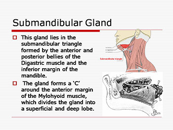 Salivary Glands Disorders