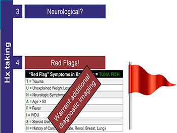 Approach To The Patient With Back Pain