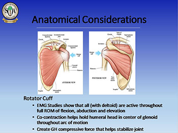 Shoulder Instability-Therapy Role In Non-Op and Operative Treatment