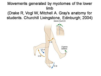 Acute Lower Back Pain