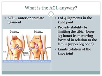 Prevention And Rehabilitation For Acl Injuries