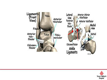 Foot and Ankle Injuries and Pain