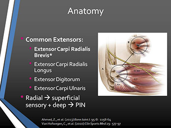 Lateral and Medial Epicondylitis