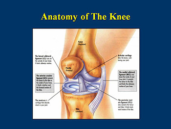 Osteoarthritis Knee