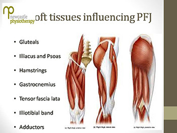 Pattelo-Femoral Joint Dysfunction