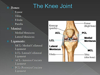 Knee Injuries