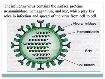 Pharmaceutical Chemistry-Antiviral Drugs