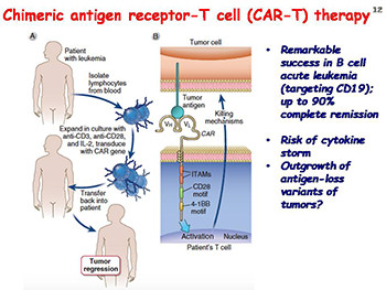 Cancer Immunotherapy and Its Immunologic Complications