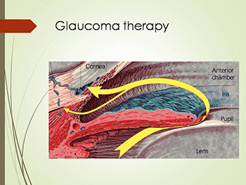 Pharmacology of The Eye