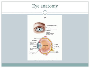 Eye Ear Nose and Throat Infections