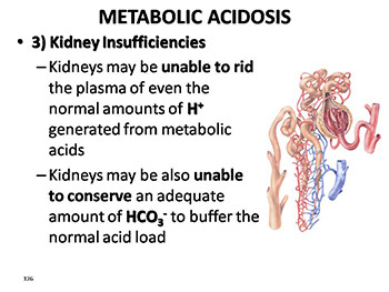 Acid Base Balance Or Homeostasis of Blood Ph Or Regulation of Blood Ph