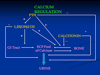 Hypercalcemia