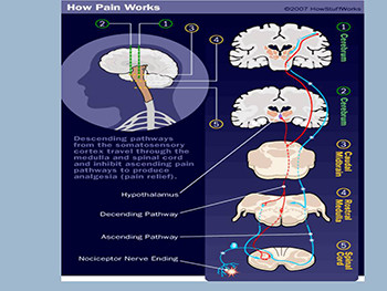 Pain and Drugs Used For Relief of Pain