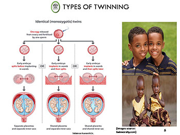 Concept of Twinning