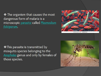 History of Malaria