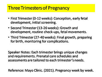 Sexual and Reproductive Health: Pregnancy and Prenatal Care
