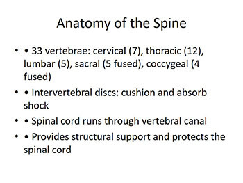 Anatomy & Physiology of the Spine and Related Neurological Diseases