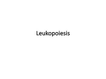 Leukopoeisis