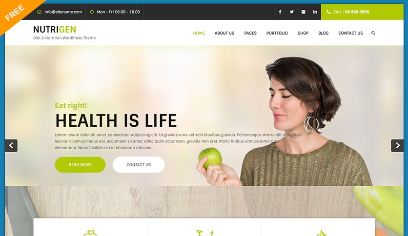 Nutrigen Nutrition and Fitness Professional Free Wordpress