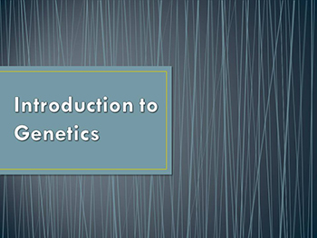 Introduction Of Genetics