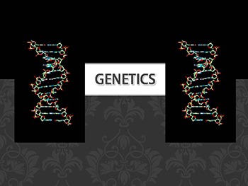 Genetics