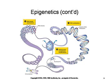 Epigenetics and Disease